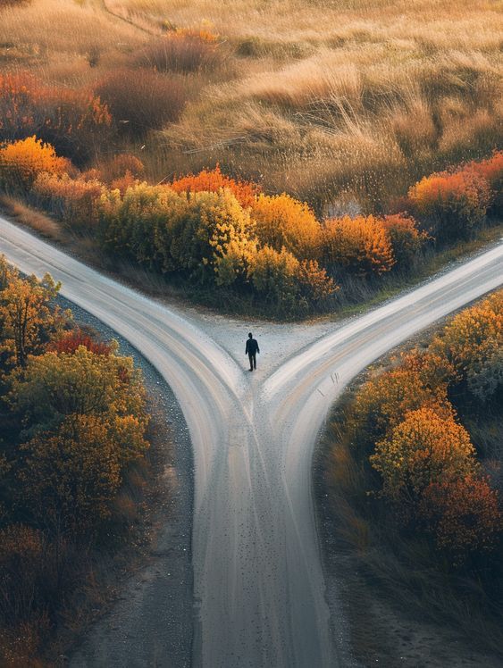 Contemplations on the&nbsp;road