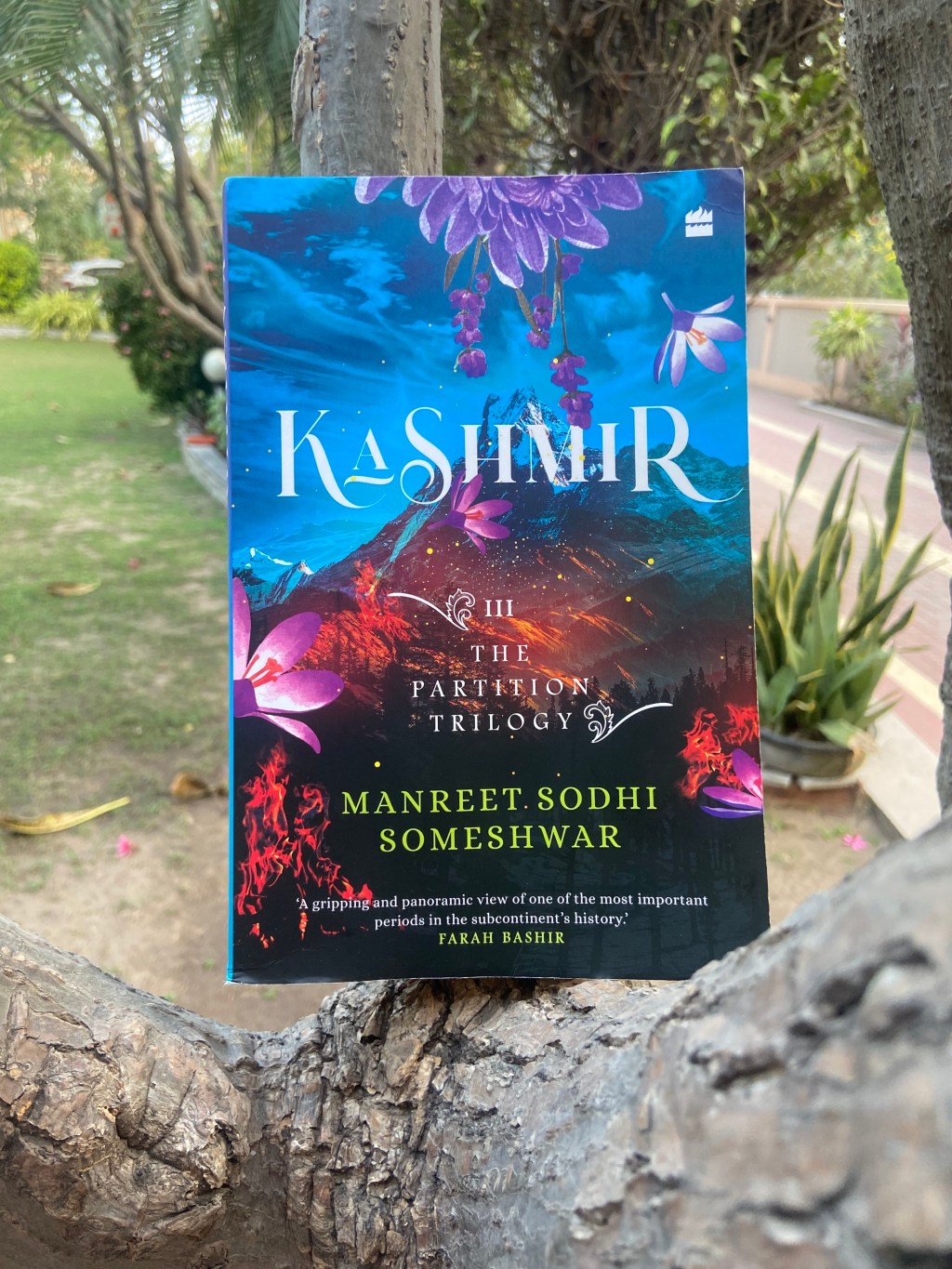 BOOK REVIEW: KASHMIR III THE PARTITION TRILOGY BY MANREET SODHI&nbsp;SOMESHWAR
